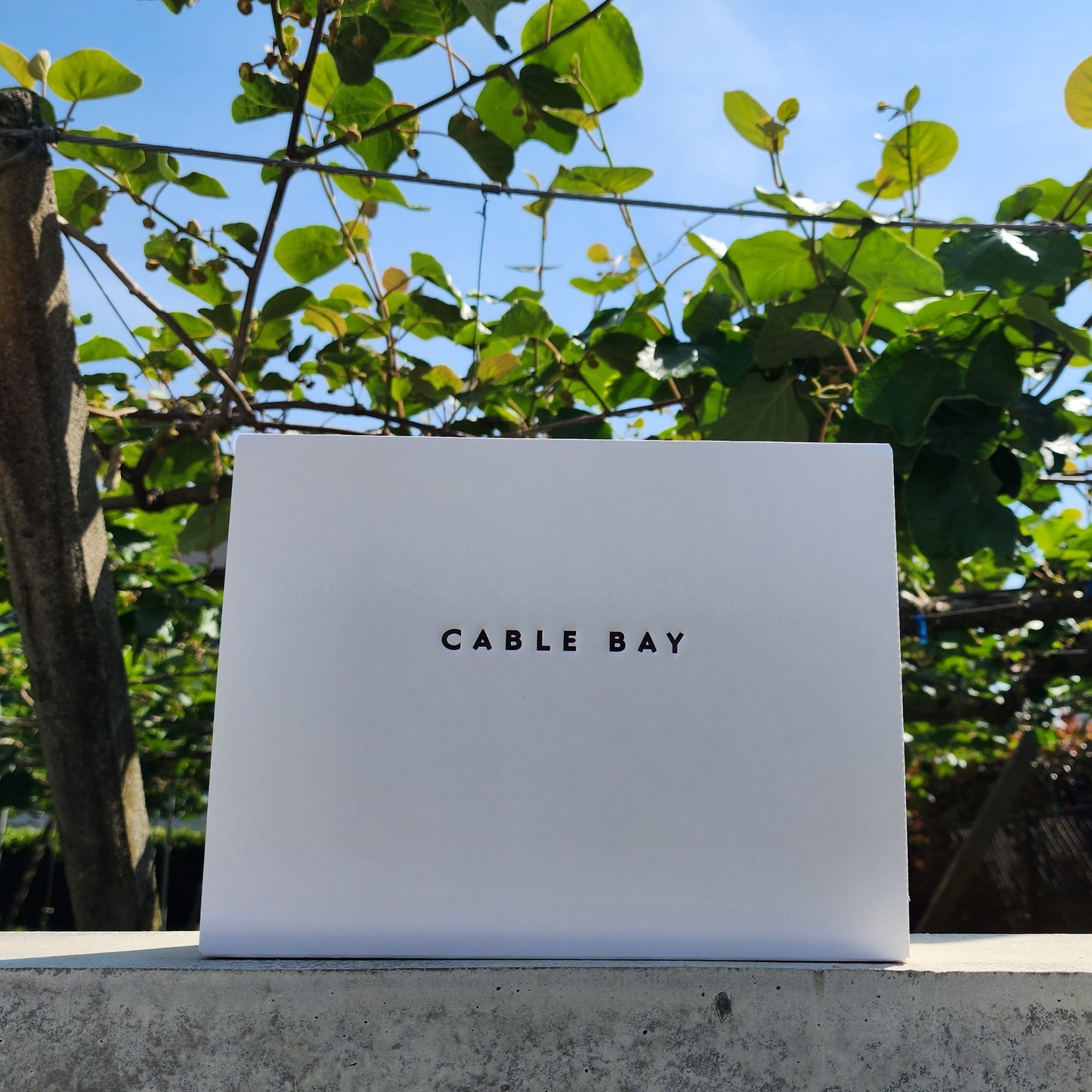 CABLE BAY ロゴ入りワインボックス